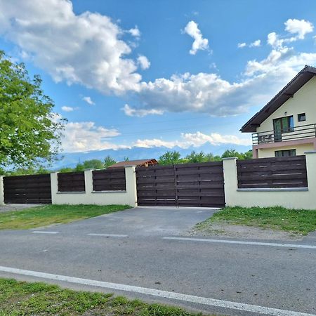 Pensiunea Daria Haţeg Exteriér fotografie