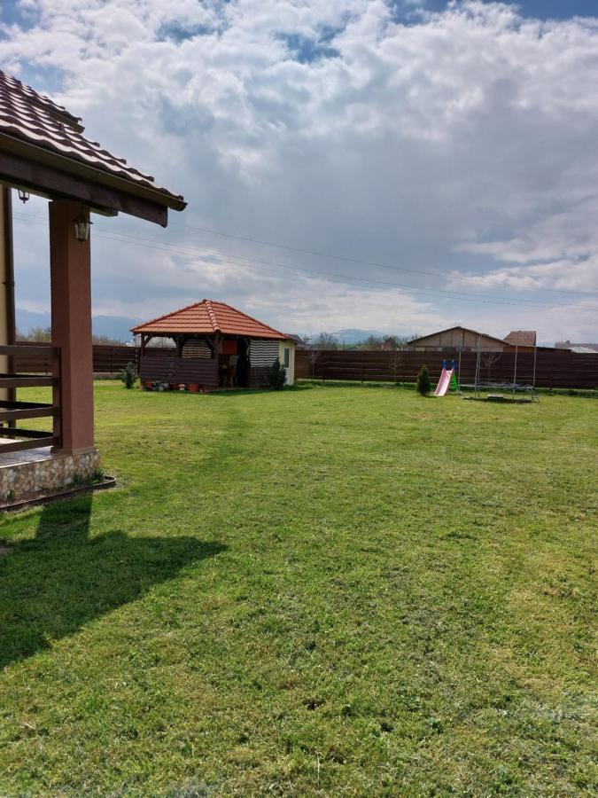 Pensiunea Daria Haţeg Exteriér fotografie