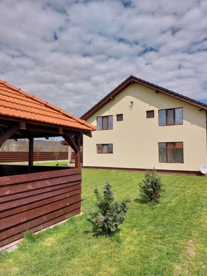 Pensiunea Daria Haţeg Exteriér fotografie