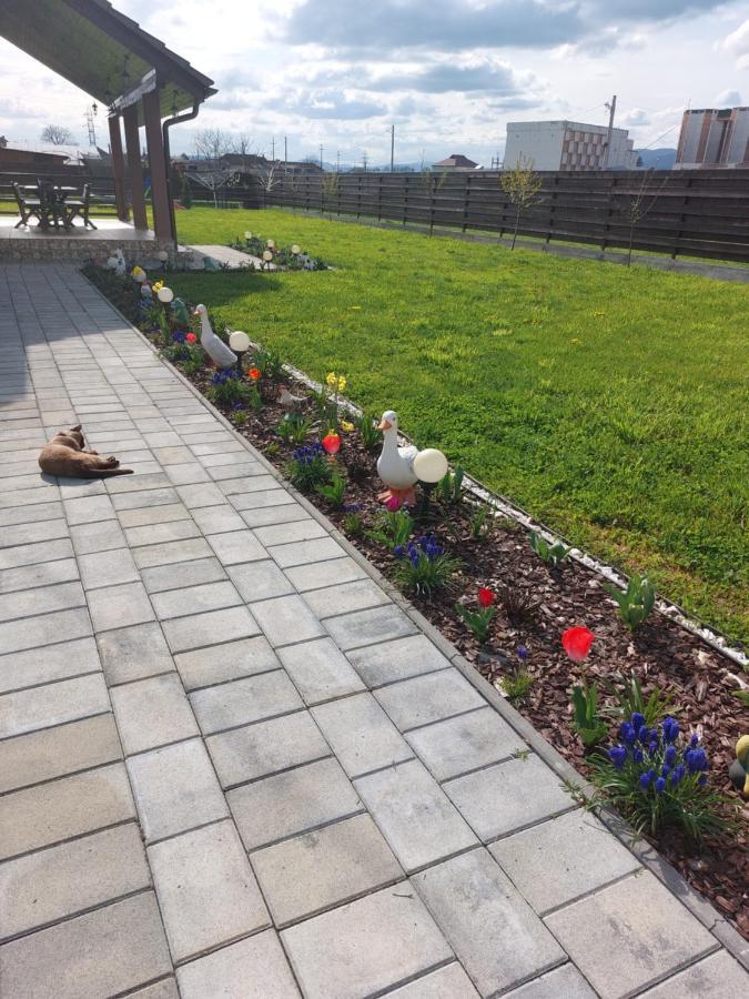Pensiunea Daria Haţeg Exteriér fotografie